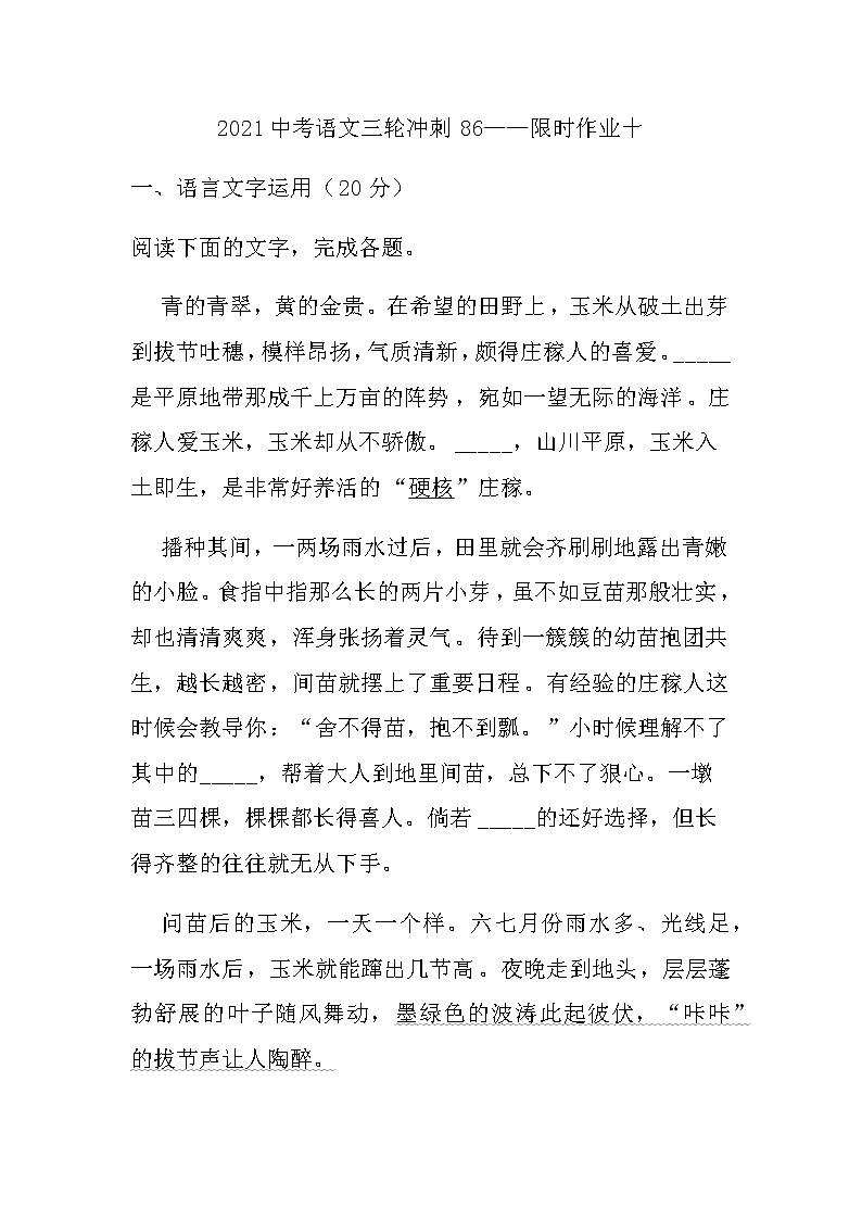 2021中考语文三轮冲刺86——限时作业十第1页