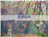 人教语文 8年级上教案课件17  昆明的雨