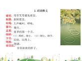 人教语文 8年级上教案课件17  昆明的雨