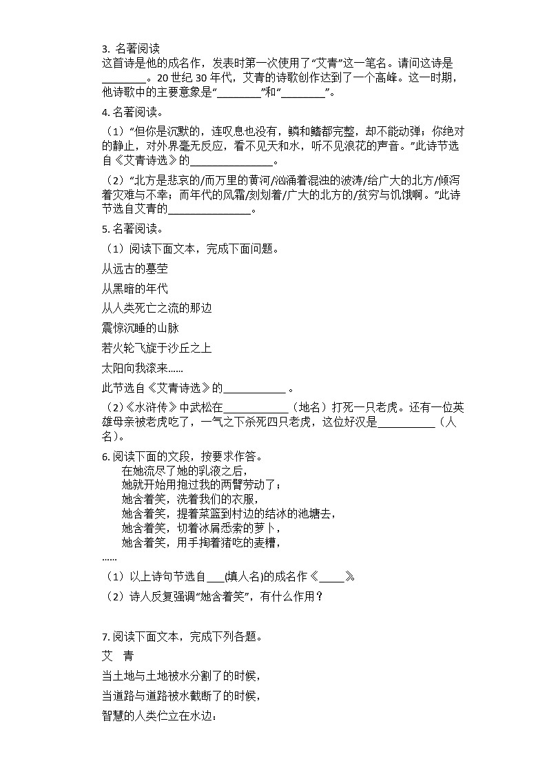 2021中考语文总复习名著导读专题练习_《艾青诗选》第2页