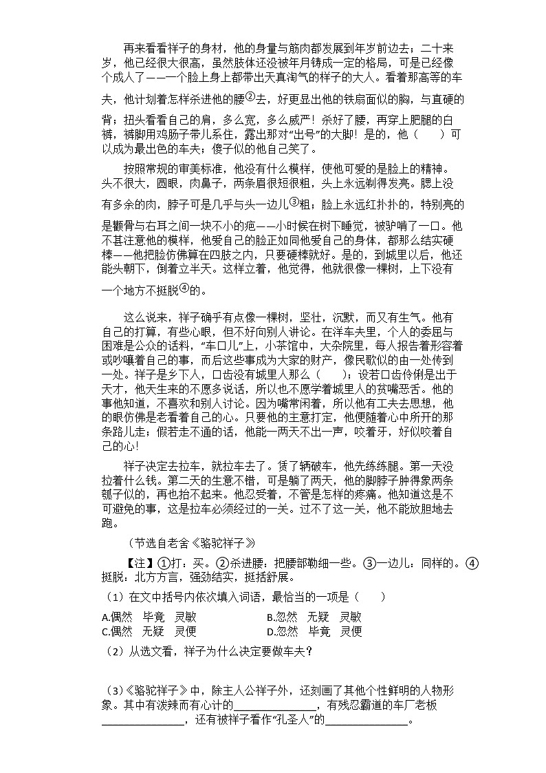 2021中考语文总复习名著导读专题练习_《骆驼祥子》第2页