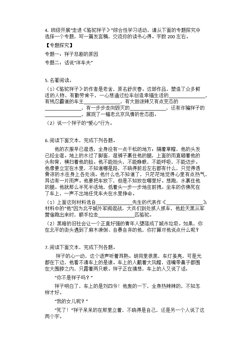 2021中考语文总复习名著导读专题练习_《骆驼祥子》第3页