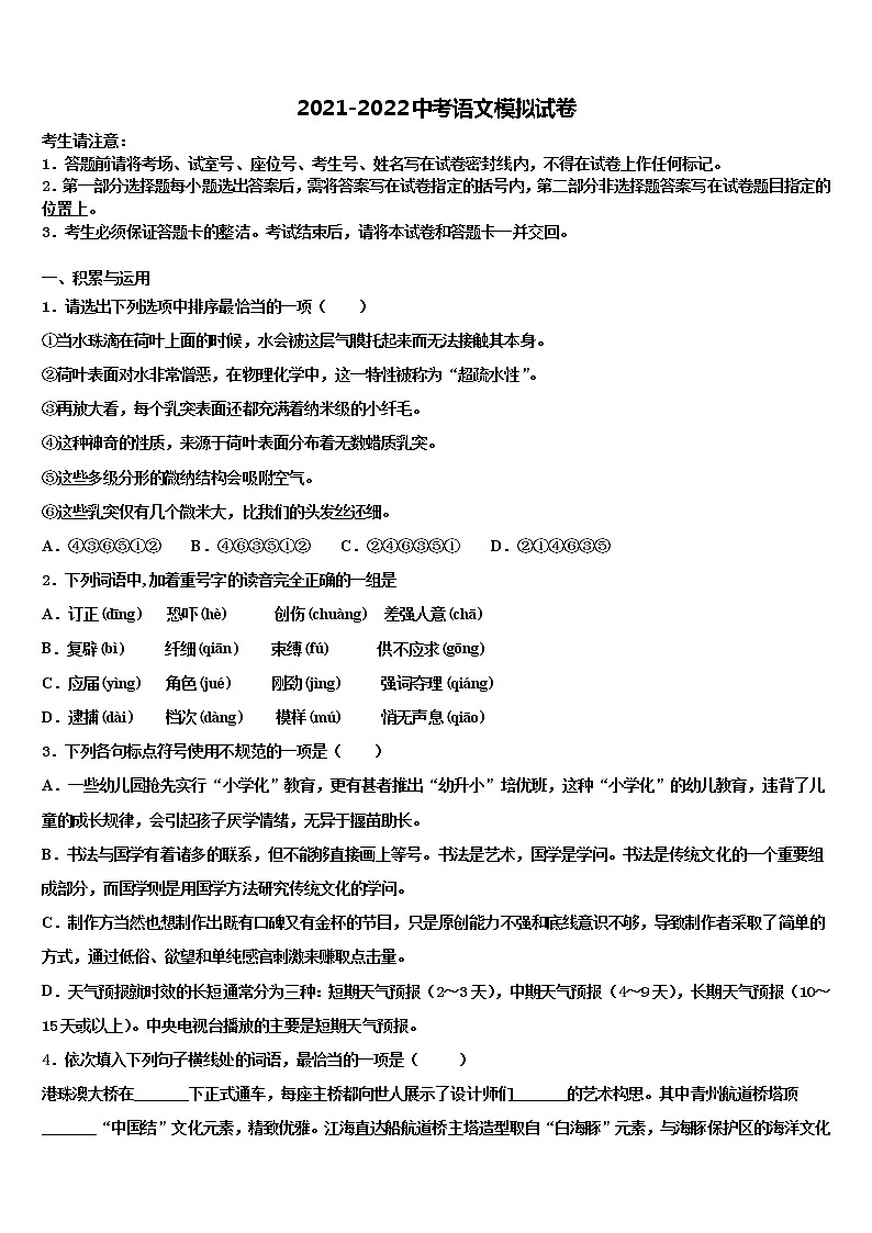 2022年临沂市重点中学中考语文最后一模试卷含解析01