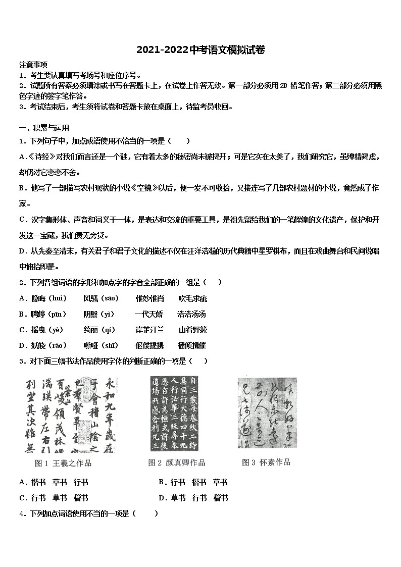 2022年山东省青岛市集团校中考语文考试模拟冲刺卷含解析01