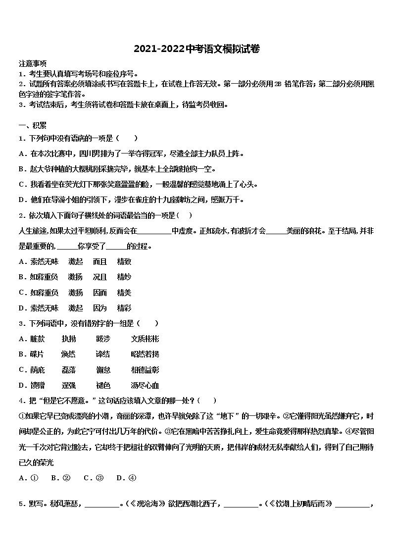 2022年四川省成都市青羊区树德实验中学中考语文模试卷含解析01