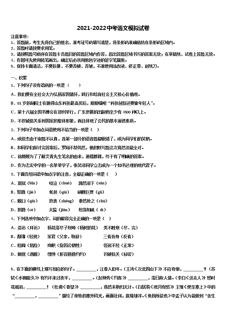 2022年山东省临朐市中考语文适应性模拟试题含解析第1页