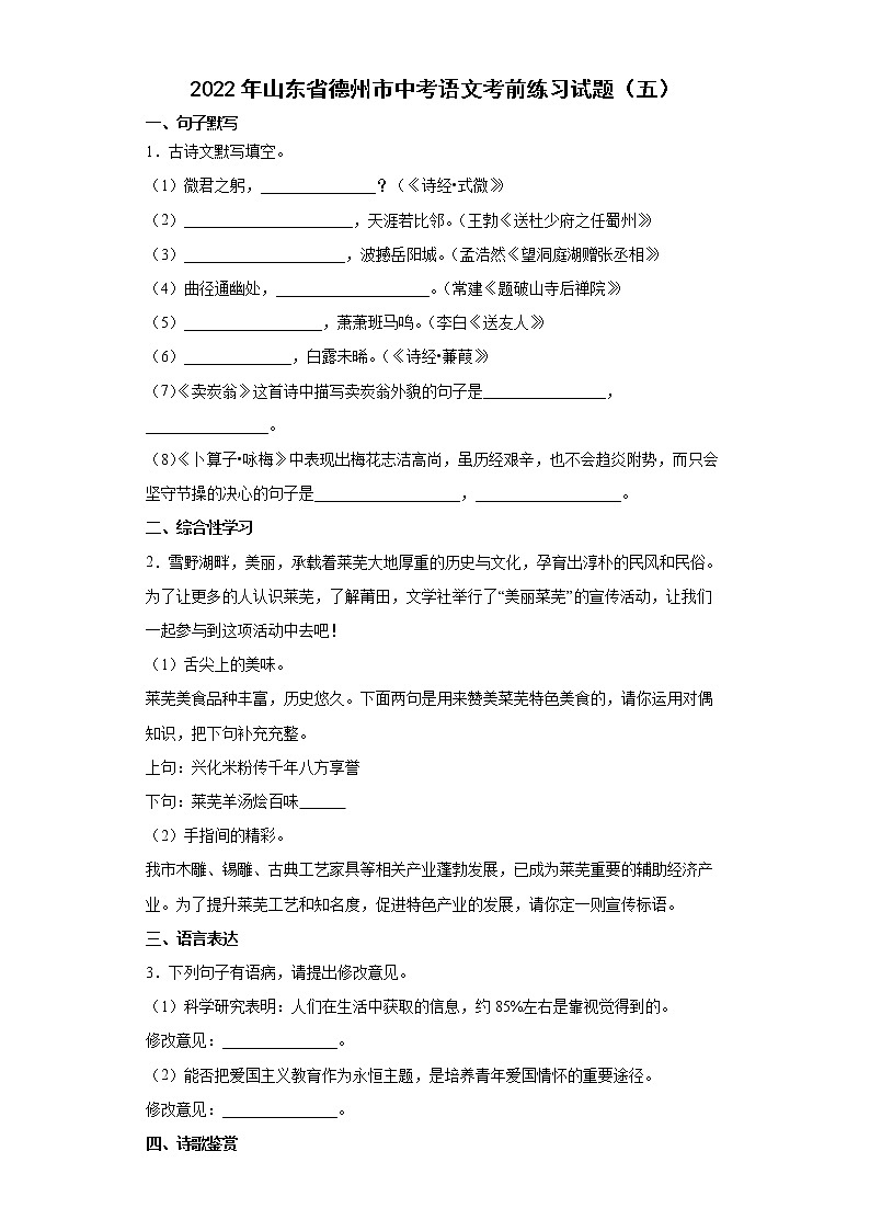 2022年山东省德州市中考语文考前练习试题（五）第1页