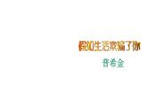 第20课《假如生活欺骗了你》课件2021-2022学年部编版语文七年级下册
