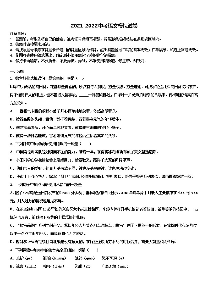福建省龙岩院附属中学2021-2022学年中考冲刺卷语文试题含解析01