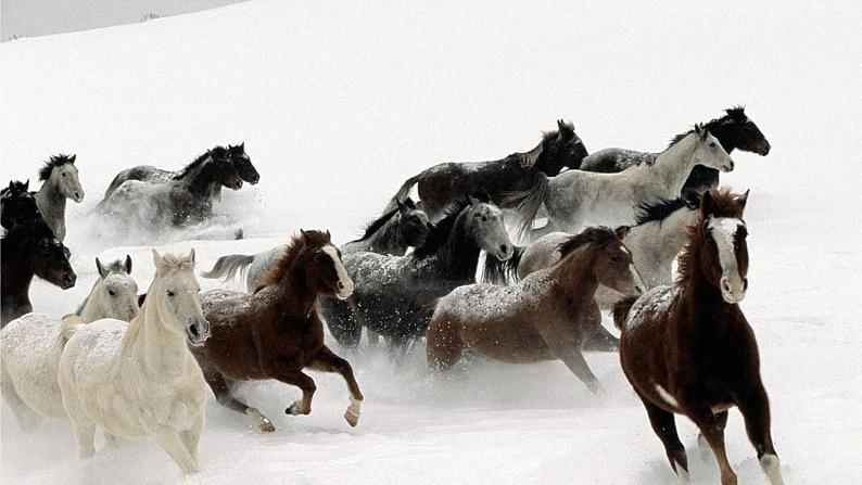 第23课《马说》课件（共28张PPT）2021—2022学年部编版语文八年级下册第4页