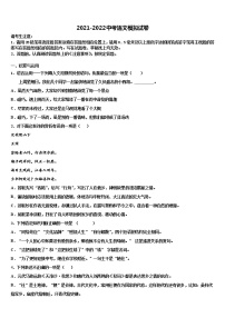 甘肃省张掖市2021-2022学年中考语文考试模拟冲刺卷含解析