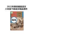 人教部编版八年级下册登勃朗峰备课课件ppt