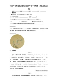 2022年山东省德州市临邑县九年级下学期第一次练兵语文试题(word版含答案)