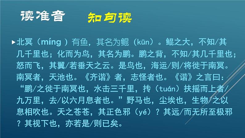 八下21《北冥有鱼》课件05