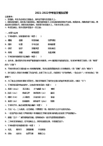 河南省濮阳市台前县重点中学2021-2022学年中考联考语文试卷含解析