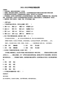 江苏省盐城市南洋中学2022年毕业升学考试模拟卷语文卷含解析