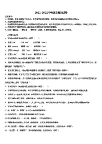 辽宁省沈阳市铁西区2021-2022学年中考语文考试模拟冲刺卷含解析