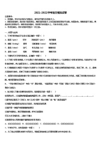 江苏省淮安市金湖县达标名校2022年中考语文适应性模拟试题含解析