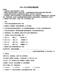 江苏省镇江市新区重点中学2022年中考语文猜题卷含解析