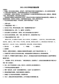山东省金乡县2022年十校联考最后语文试题含解析