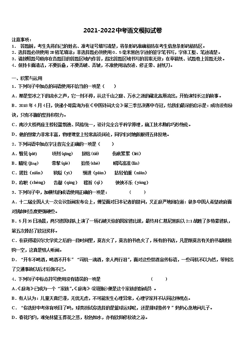 山东省青岛市2022年中考语文适应性模拟试题含解析01
