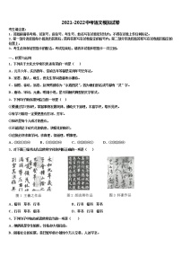 云南省文山县2022年中考语文押题试卷含解析