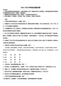 镇江外国语2022年初中语文毕业考试模拟冲刺卷含解析