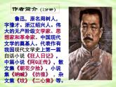 第1课《社戏》课件（共38页）2021-2022学年部编版语文八年级下册