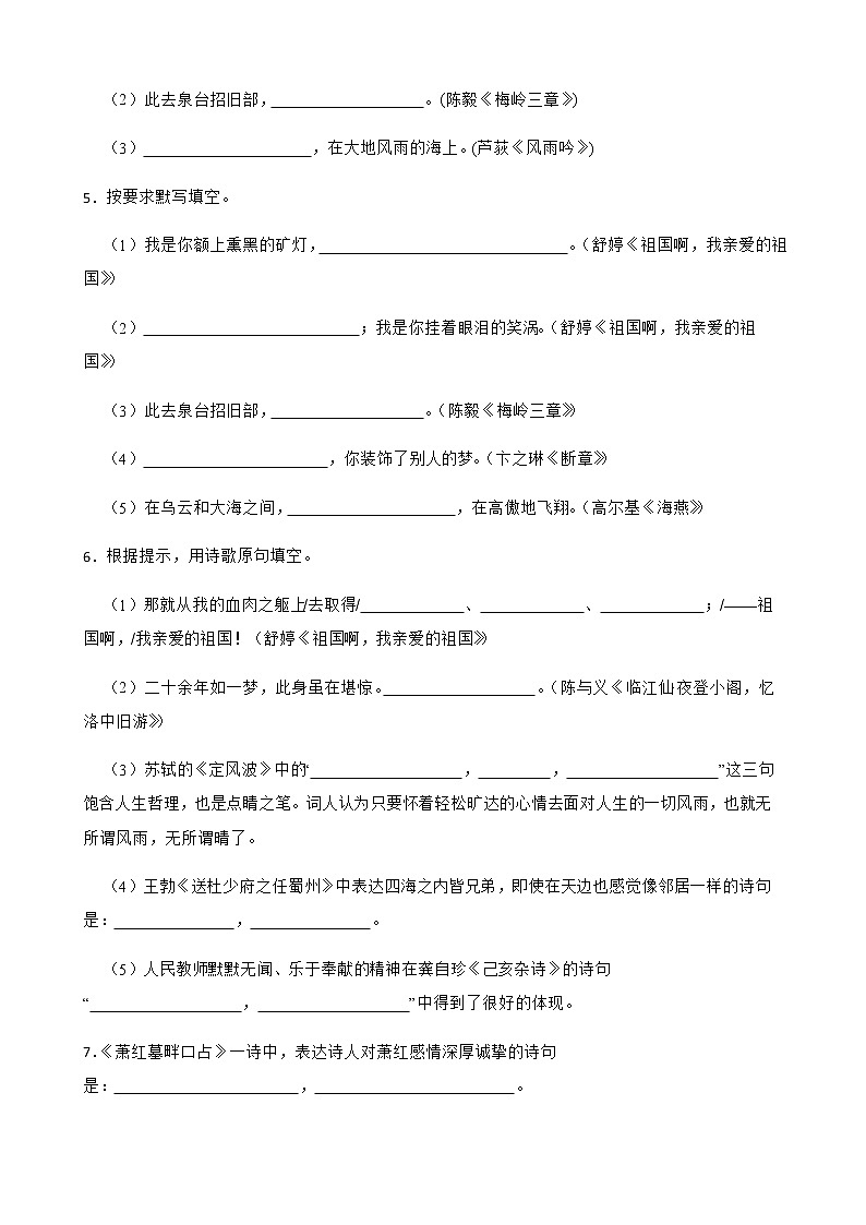 九年级下册语文复习专题之默写附解析第2页