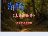 第20课《未选择的路》课件（共35页）2021-2022学年部编版语文七年级下册