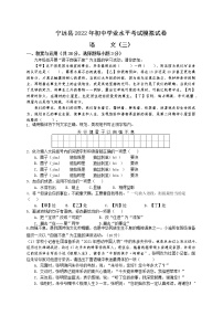 2022年湖南省永州市宁远县初中学业水平考试模拟（三）语文试题(word版含答案)