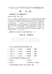 2022年湖南省永州市宁远县初中学业水平考试模拟（五）语文试题(word版含答案)
