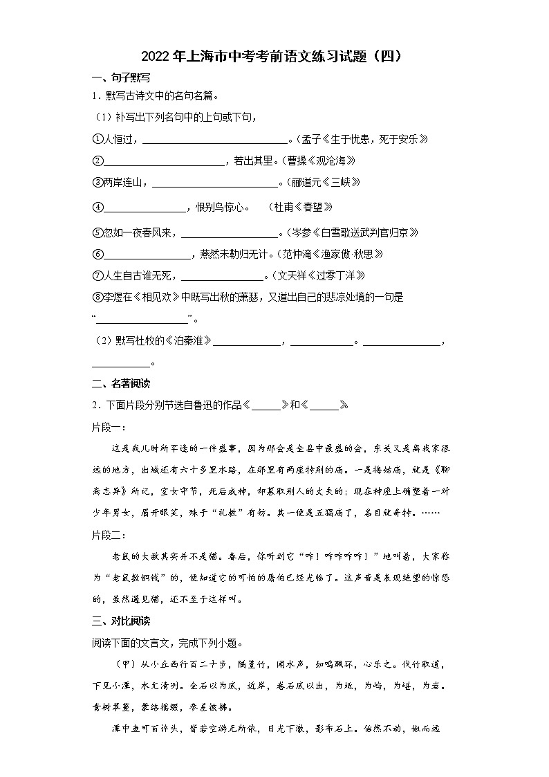 2022年上海市中考考前语文练习试题（四）01