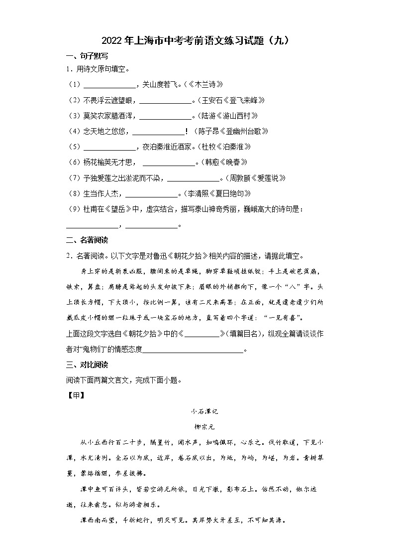 2022年上海市中考考前语文练习试题（九）01