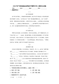 2022年广西壮族自治区南宁地区中考二模语文试题(word版含答案)