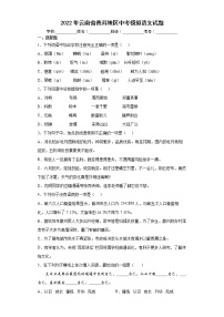 2022年云南省普洱地区中考模拟语文试题(word版含答案)
