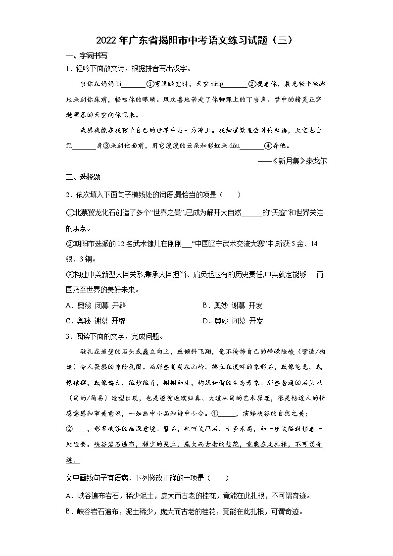 2022年广东省揭阳市中考语文练习试题（三）01
