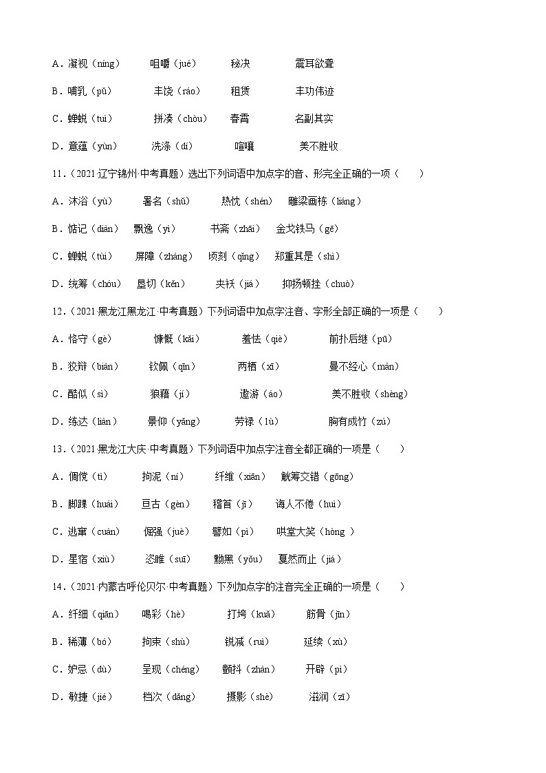 2021年中考语文真题分类汇编（语言基础知识）-字音篇（含答案，共81题）第3页
