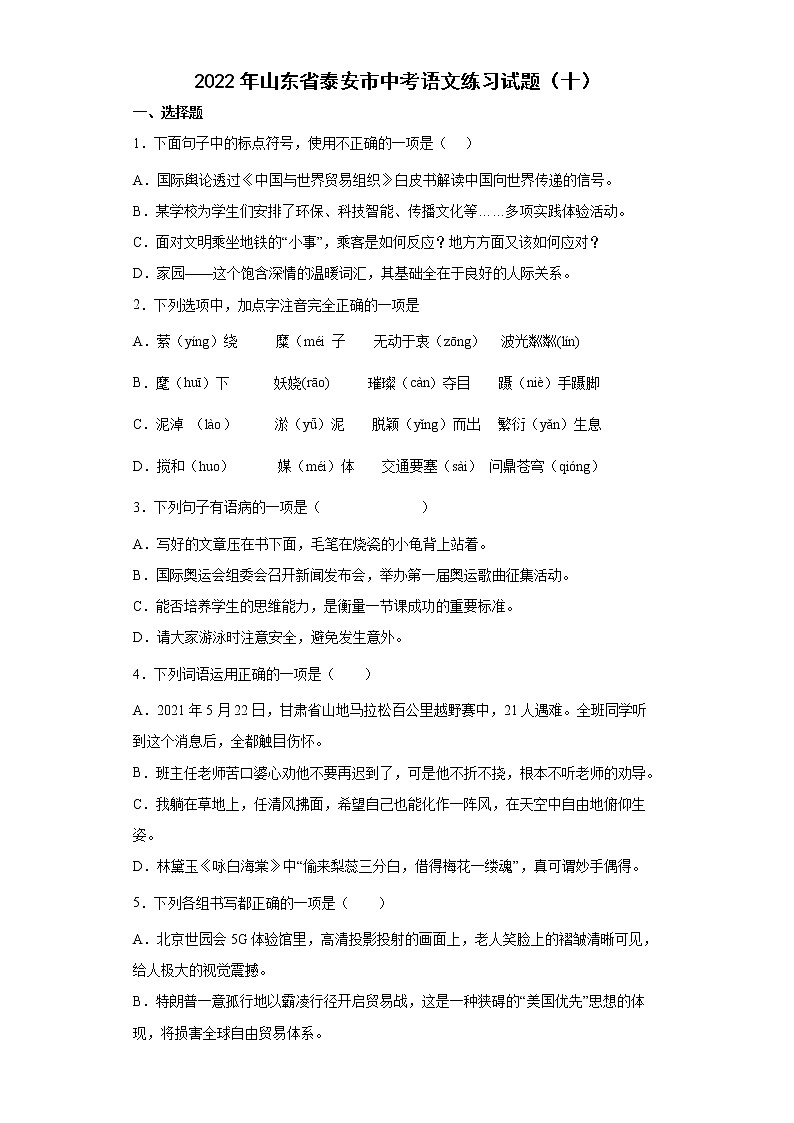 2022年山东省泰安市中考语文练习试题（十）（有答案）第1页