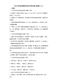 2022年山东省泰安市中考语文练习试题（三）（有答案）