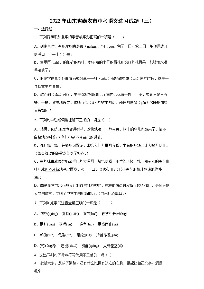 2022年山东省泰安市中考语文练习试题（三）（有答案）01