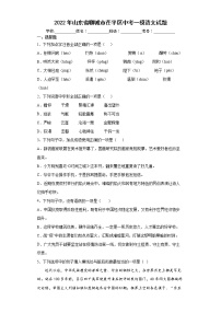 2022年山东省聊城市茌平区中考一模语文试题(word版含答案)