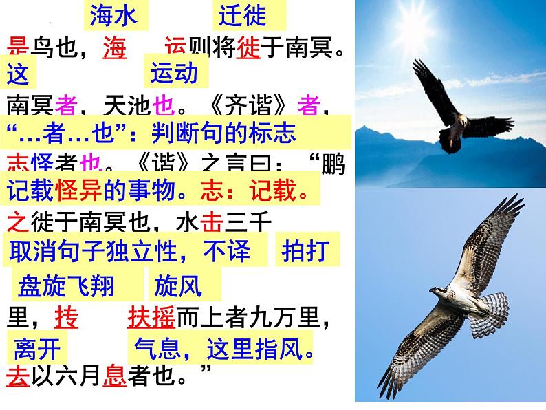 第21课《庄子二则——北冥有鱼》课件（共29张PPT）2021—2022学年部编版语文八年级下册第7页