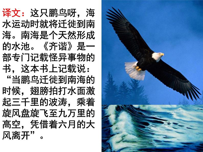 第21课《庄子二则——北冥有鱼》课件（共29张PPT）2021—2022学年部编版语文八年级下册第8页
