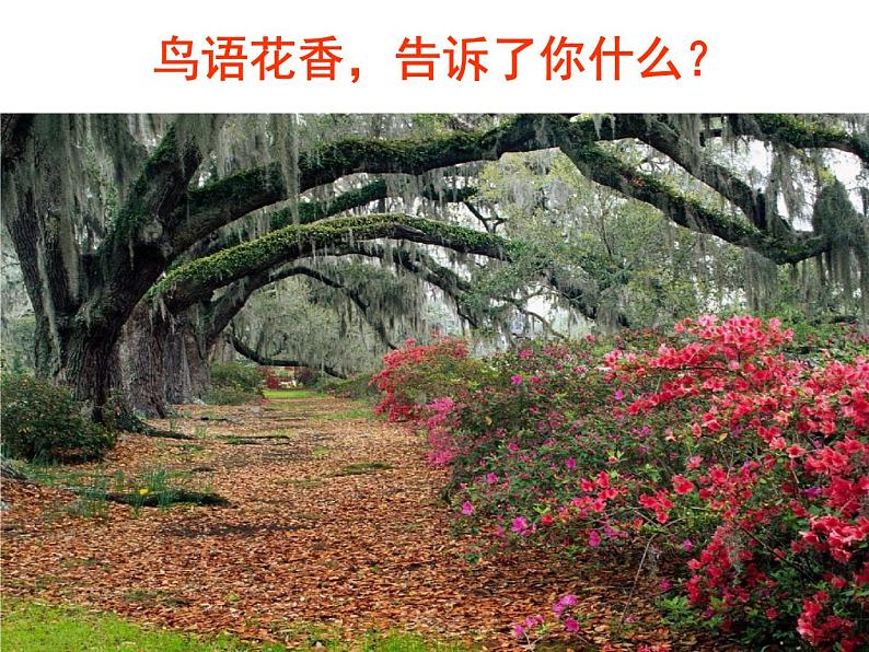 第5课《大自然的语言》课件（共43张PPT）2021—2022学年部编版语文八年级下册第3页