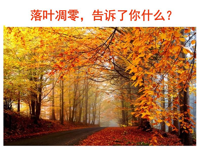 第5课《大自然的语言》课件（共43张PPT）2021—2022学年部编版语文八年级下册第5页