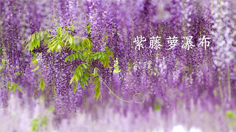 第18课《紫藤萝瀑布》课件2021-2022学年部编版语文七年级下册第2页