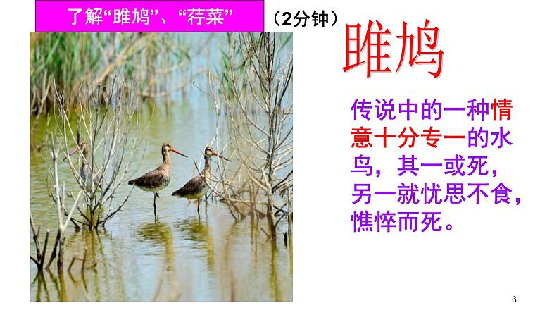 第12课《诗经》二首课件（30张PPT）2021-2022学年部编版语文八年级下册06