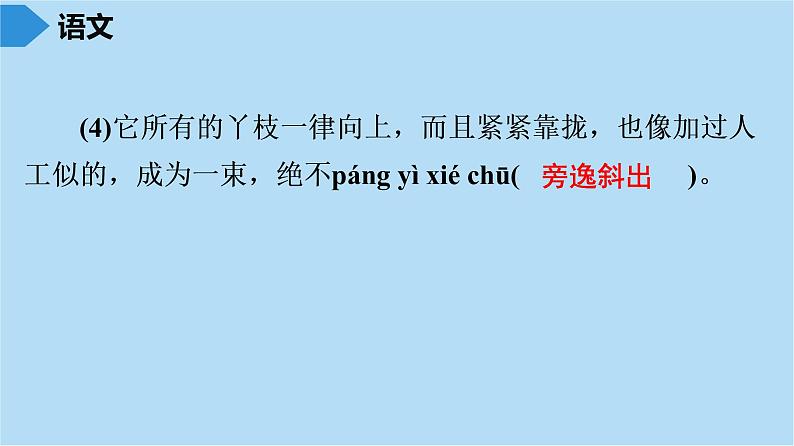 中考语文复习要点专项训练题课件（基础+课内文言文阅读题）05