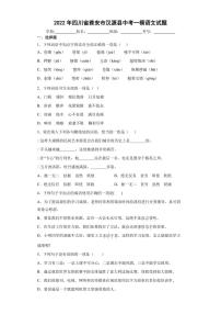 2022年四川省雅安市汉源县中考一模语文试题(含答案)